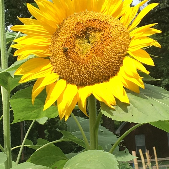 Meet your Posher, Janet - Picture 2 of 16